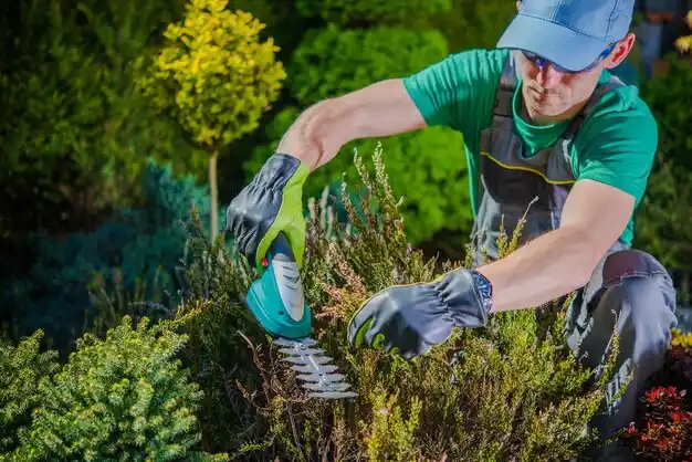 landscaping services Cedar Bluffs
